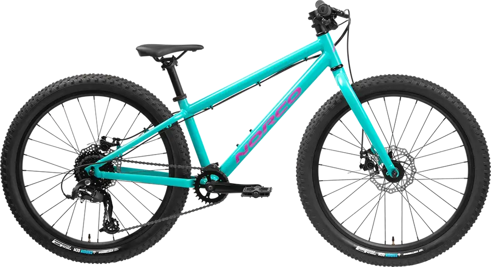 Storm 24 Disc Norco