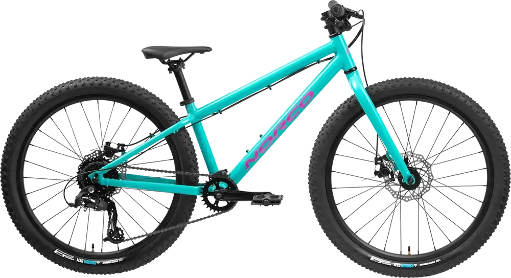 Storm 24 Disc Norco