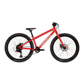 Storm 24 Disc Norco