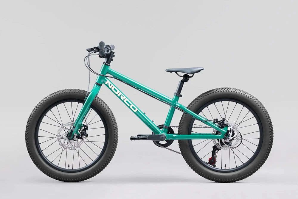 STORM 20" Norco