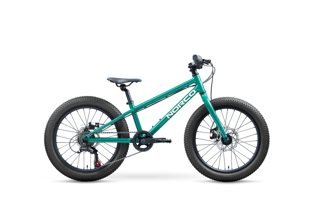 Storm 20 Norco