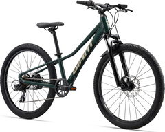 Talon 24 Disc Giant