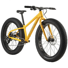 libik0089_kjy_02_88b6