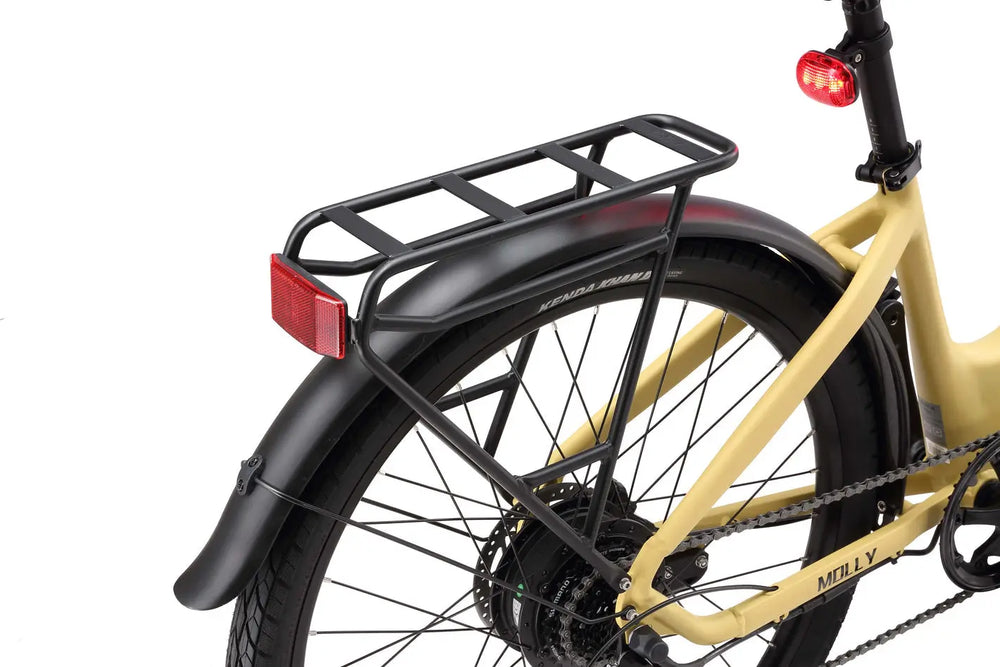 Molly-_rear_rack_view-min