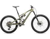 Specialized-Stumpjumper-EVO-Expert-T-Type-1