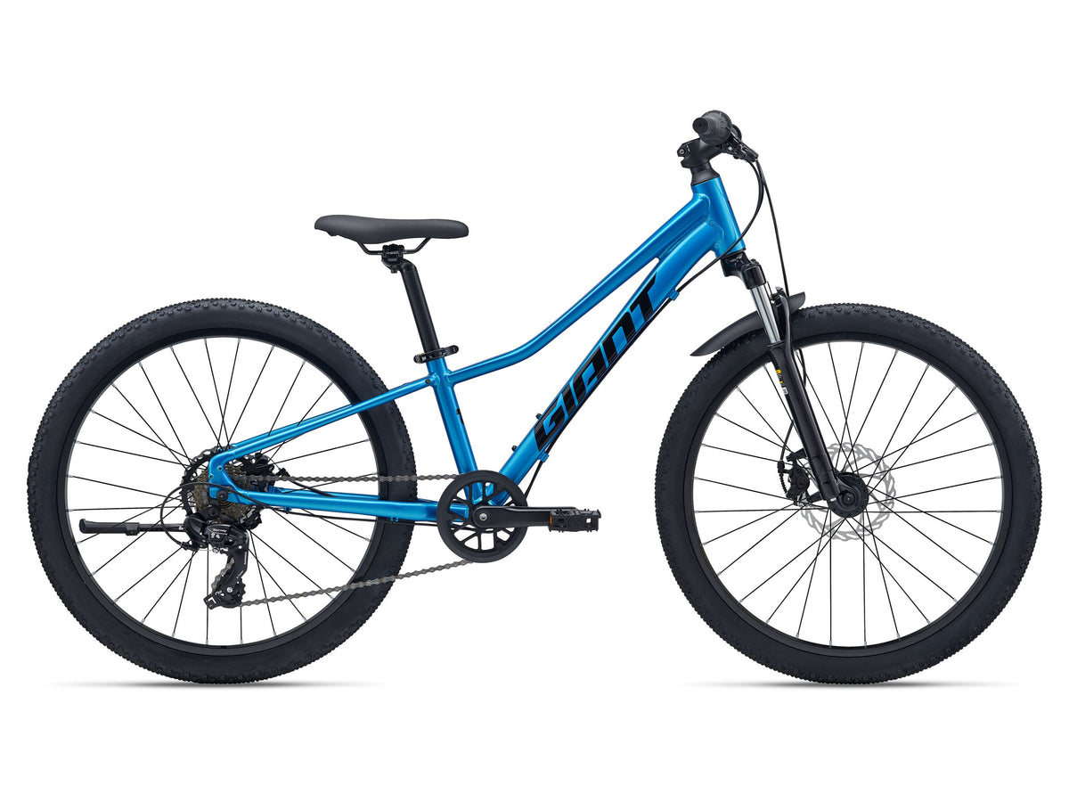 Talon 24 Disc Giant