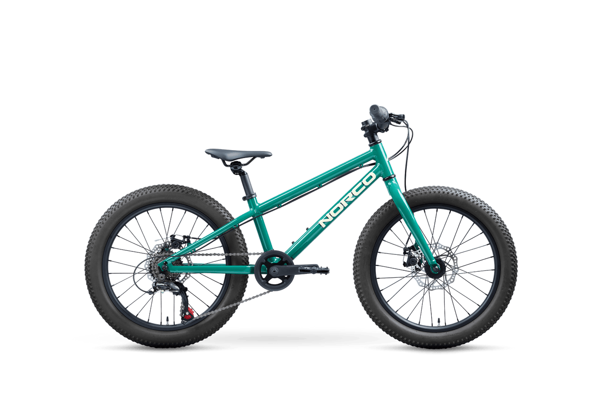 Storm 20 Norco