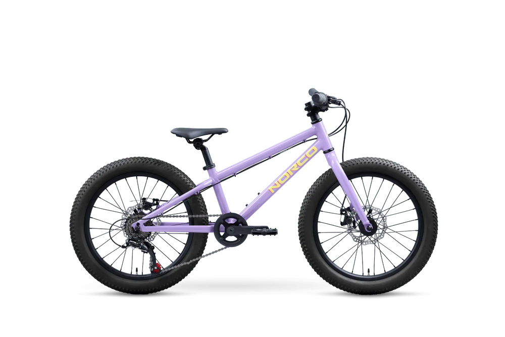 STORM 20" Norco