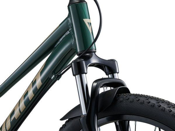 Talon 24 Disc Giant