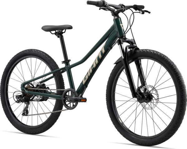 Talon 24 Disc Giant