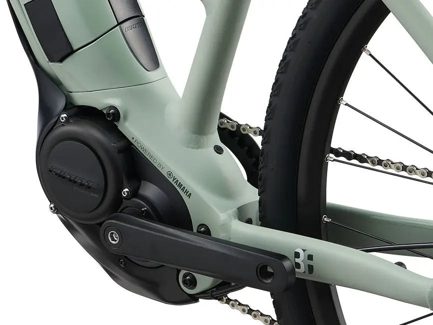 MY21RoveE+_ColorALaurel_GUVersion_D1