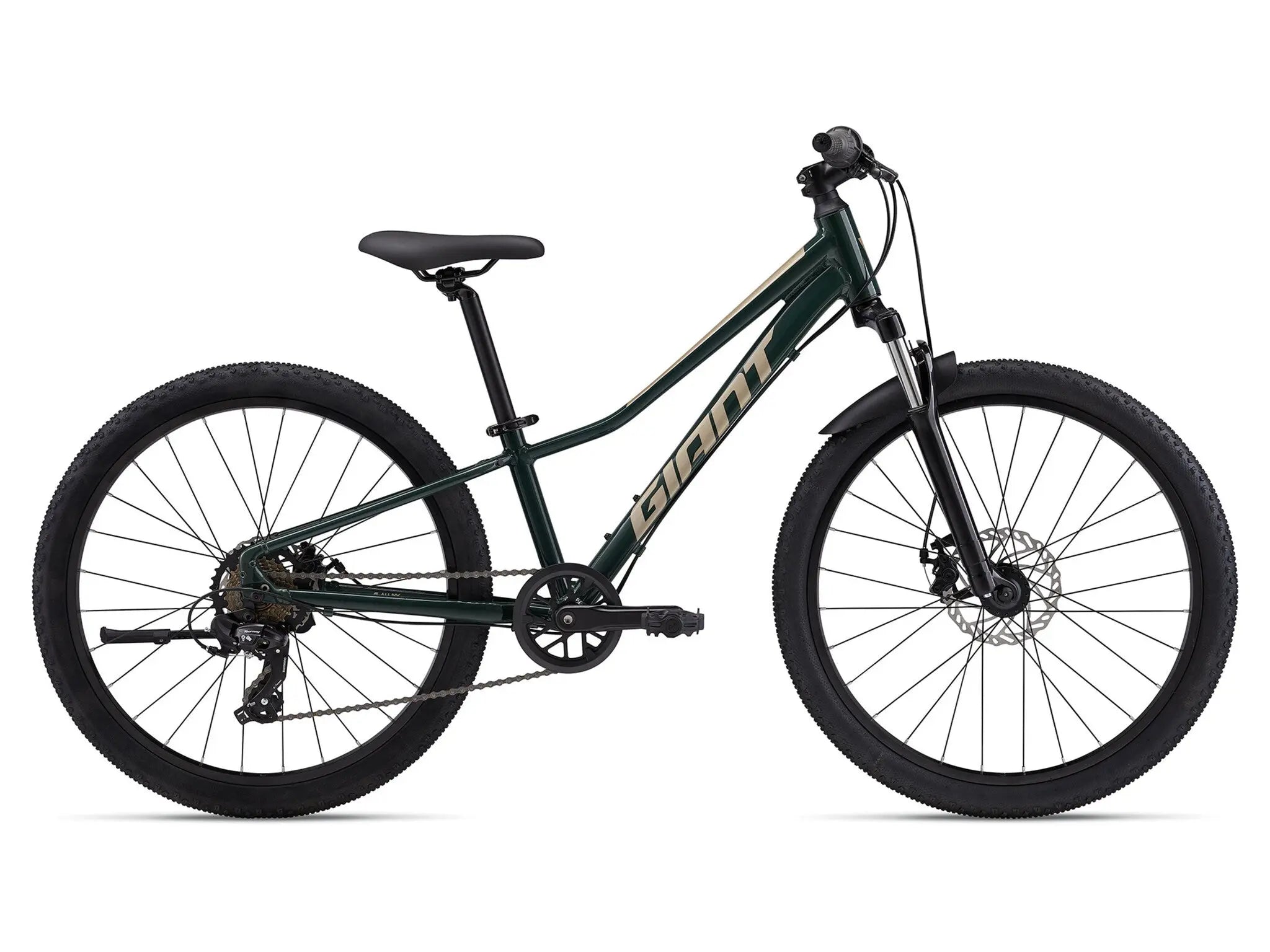 MY24Talon24Disc_ColorATrekkingGreen