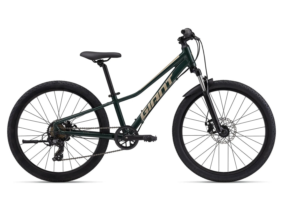 MY24Talon24Disc_ColorATrekkingGreen