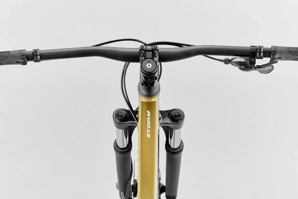 my25-storm-29-habitat-moss-pov-xl