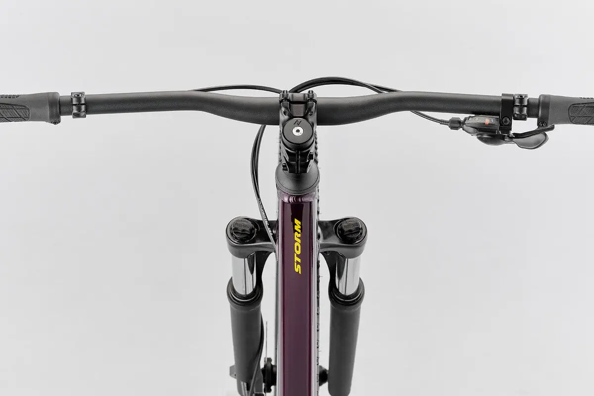 my25-storm-29-liquid-currant-pov-lg